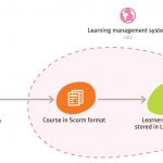 How does SCORM work?