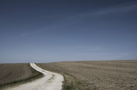 field-path-388913_640